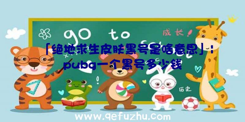 「绝地求生皮肤黑号是啥意思」|pubg一个黑号多少钱